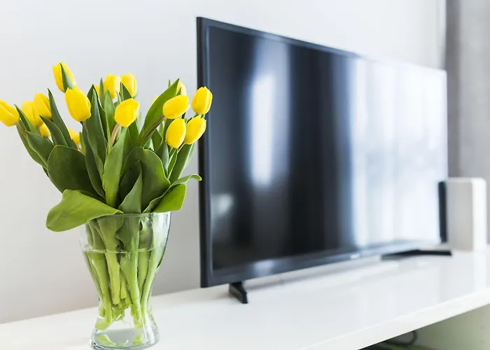 Apartament Grano Nowa Motława Spa&wellness *